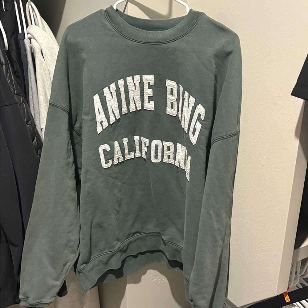 ANINE BING Oversized Crew Miles Sweatshirt Washed Sage Green Size Medium - Picture 3 of 7